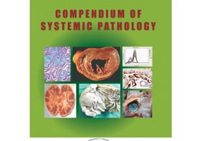Compendium of systemic pathology - Simona Gurzu, Ioan Jung