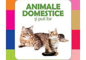 Animale domestice si puii lor