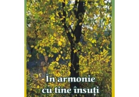 In armonie cu tine insuti - Al saptelea volum din seria Invata sa te ierti (Luule Viilma)