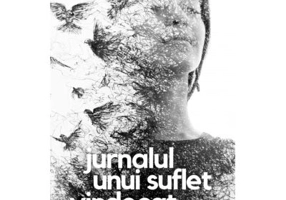 Jurnalul unui suflet vindecat - Andreea Diaconu