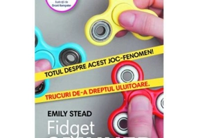 Fidget Spinner - Emily Stead