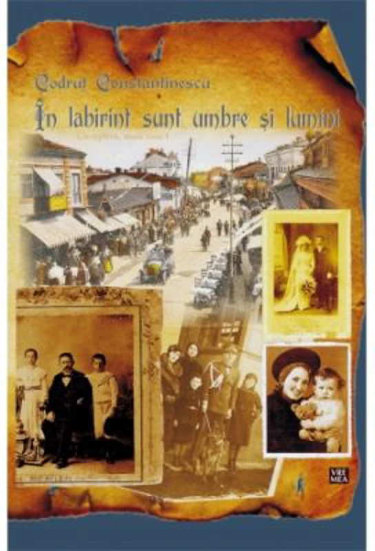 In labirint sunt umbre si lumini - Codrut Constantinescu