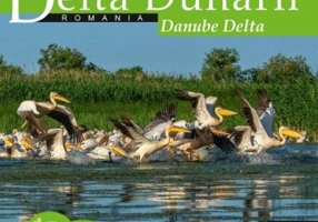 Calator prin tara mea. Delta Dunarii - Florin Andreescu