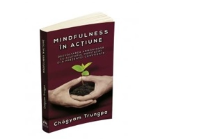 Mindfulness in actiune. Dezvoltarea armonioasa cu ajutorul meditatiei si a prezentei constiente - Chogyam Trungpa