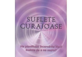 Suflete curajoase. Ne planificam incercarile vietii, inainte de a ne naste? - Robert Schwartz