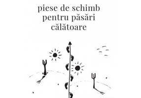 Piese de schimb pentru pasari calatoare - Oigan