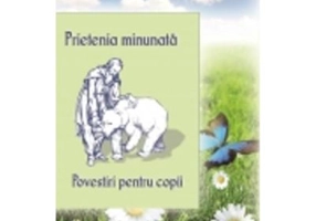 Prietenia minunata
