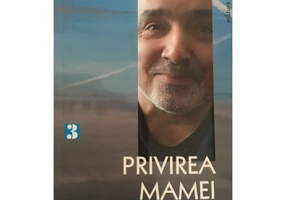 Privirea mamei - Dan Stanca