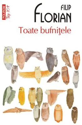 Toate bufnitele (editie de buzunar) - Filip Florian
