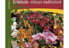 Orhideele, minuni multicolore - Lutz Rollke