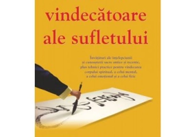 Miracole vindecatoare ale sufletului - Dr. Zhi Gang Sha