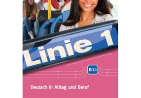 Linie 1 B1. 1, Kurs- und Übungsbuch mit DVD-ROM. Deutsch in Alltag und Beruf - Stefanie Dengler