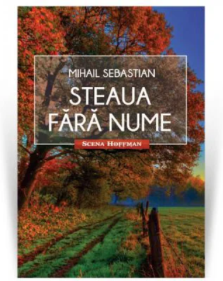 Steaua fara nume. Colectia Scena Hoffman
