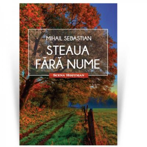 Steaua fara nume. Colectia Scena Hoffman