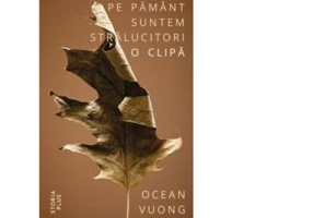 Pe pamant suntem stralucitori o clipa - Ocean Vuong