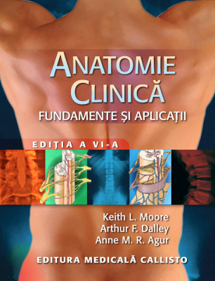 Anatomie clinica. Fundamente si aplicatii, editia a 6-a - Keith L. Moore