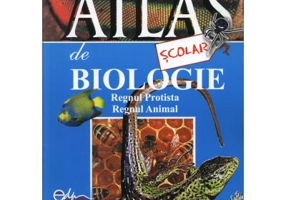Atlas scolar de biologie, zoologic. Regnul protista si regnul animal - Florica Tibea
