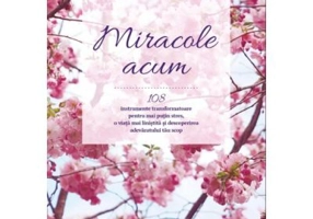 Miracole acum. 108 instrumente transformatoare pentru mai putin stres, o viata mai linistita si descoperirea adevaratului tau scop