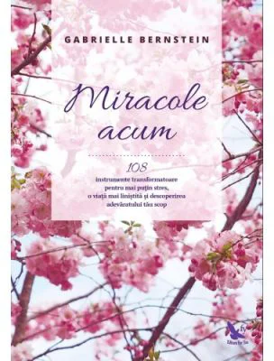 Miracole acum. 108 instrumente transformatoare pentru mai putin stres, o viata mai linistita si descoperirea adevaratului tau scop