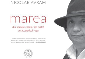 Marea din spatele caselor de piatra cu acoperisul rosu - Nicolae Avram