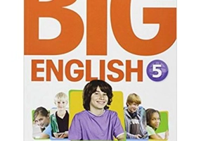 Big English 5 Activity Book - Mario Herrera