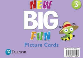 Big Fun Refresh Level 3 Picture Cards
