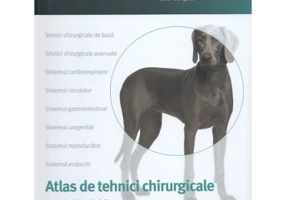 Chirurgia animalelor mici, tehnici chirurgicale pas cu pas - Jose Rodriguez