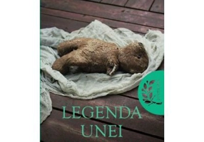 Legenda unei sinucideri