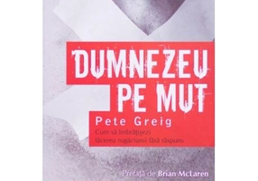 Dumnezeu pe mut. Cum sa imbratisezi tacerea rugaciunii fara raspuns - Pete Greig
