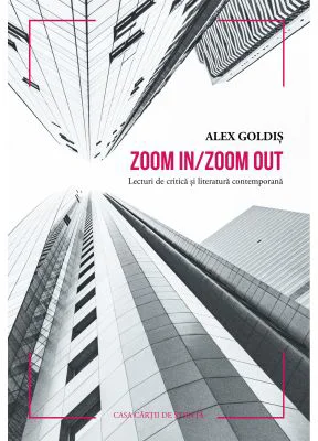 Zoom in/zoom out. Lecturi de critica si literatura contemporana - Alex Goldis
