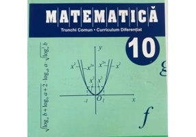 Matematica. Manual pentru clasa a 10-a - Petre Nachila