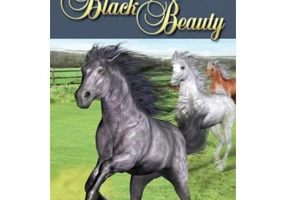 Black Beauty. Retold - Virginia Evans