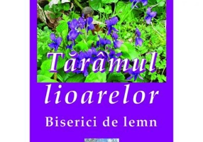 Taramul lioarelor. Biserici de lemn. Eseu