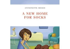 A New Home for Socks - Antoinette Moses