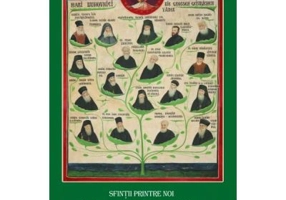 Sfintii printre noi: de la Paisie Olaru la Rafail Noica. Duhovnici pe care i-am cunoscut - Mitropolitul Serafim Joanta