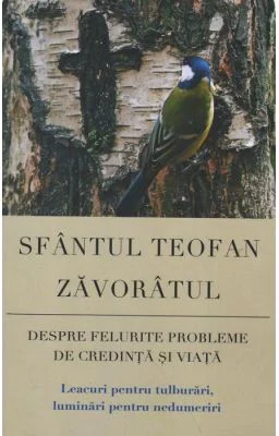 Despre felurite probleme de credinta si viata. Leacuri pentru tulburari, luminari pentru nedumeriri - sf. Teofan Zavoratul