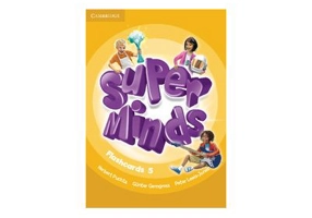 Super Minds Level 5 Flashcards. Pack of 93