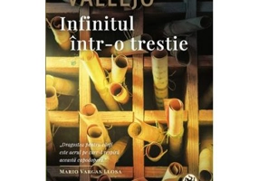 Infinitul intr-o trestie - Irene Vallejo