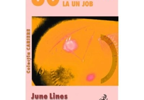 30 de minute pentru a aplica la un job - June Lines
