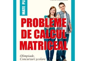 Probleme de calcul matriceal. Olimpiade. Concursuri scolare. Bacalaureat - Florin Stanescu