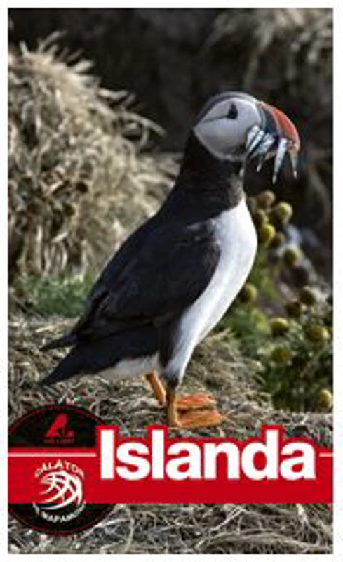 Ghid turistic ISLANDA