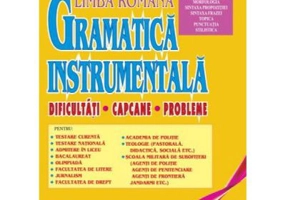 Gramatica instrumentala. Dificultati, capcane, probleme. Volumul 2 - St. M. Ilinca