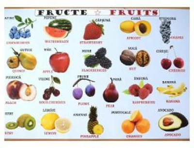 Plansa: Fructe