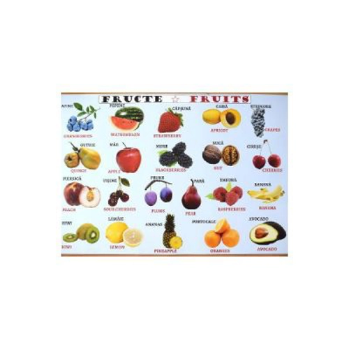 Plansa: Fructe