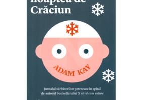 De garda-n noaptea de Craciun - Adam Kay