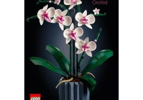 LEGO Creator Expert. Orhidee 10311, 608 piese