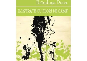 Ilustrate cu flori de camp - Brindusa Doca