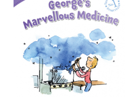Level 5. Georges Marvellous Medicine - Andrew Hopkins