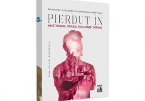 Pierdut in Amsterdam, orasul tolerantei depline. Rembrandt, cartofi prajiti, trufe psihedelice si lalele negre - Dan-Silviu Boerescu