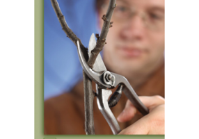 Lucrarile de taiere de la A la Z - Czaka Sarolta, Vallo Laszlo